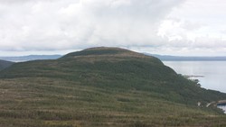 Rognfjellet