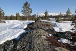 Kjølfjellet