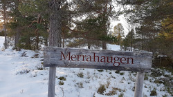 Merrahaugen