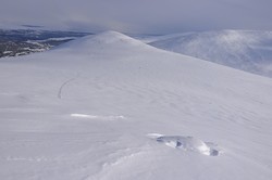 Svartdalshøgda Sørøst