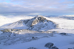 Nordre Falkfangarhøa