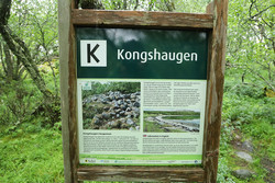 Kongshaugen