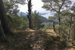 Fjærhovda utsiktspunkt