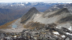 Litlsomrungnebba sørvest