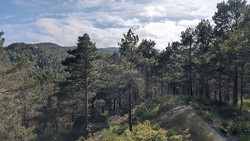 Nordre Gamletjørnhaugen