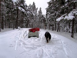 Dansarberget