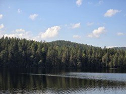 Øst for Hønegassen