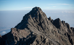 Pico del Aguila