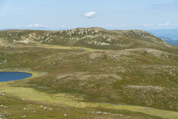 Sør for Trøgasetnatten