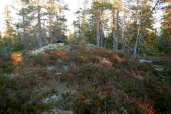 Nordvest for Hamretjenn