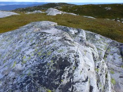 Nordøst for Snotjønn