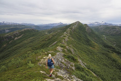 Hestdalsfjellet