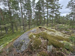 Tretjennsåsen Nordvest