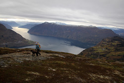Tursti Mollandsmarki - varden på Molden