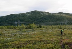 Vehovdfjellet