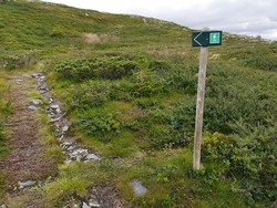 Ølslykkjesti skiltet kryss