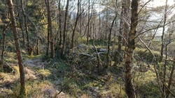 Ruin vest for Brennhaugen