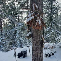 Grillplass Bakliåsen