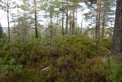 Nord for Sveltleinåsen