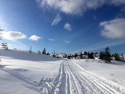 Skiløype til Aunbua