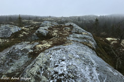 Bjønntjønnberga S2