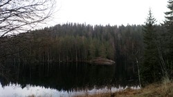 Søndre Bårlisetern