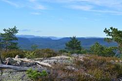 Bjørndalsfjellet