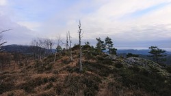 Svartafjellet