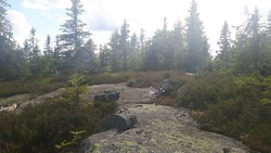 Fjellsjøhøgda