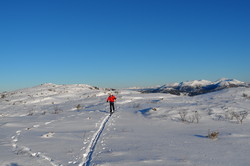 Lyngstadfjellet