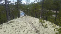 Vest for Gravmobakken