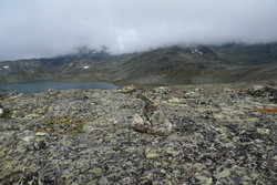 Aust for Hesttjønne