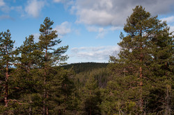 Langbråtaåsen