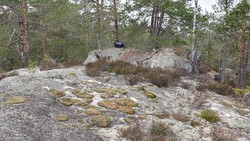 Fjøsåsen