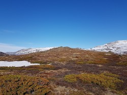 Vest for Leirungsbuin