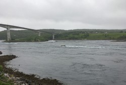 Saltstraumen