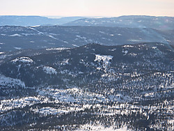 Dronningkollen