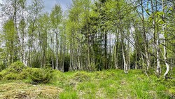 Nittedals mest øde sted