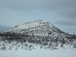 Trytjønnsvolene