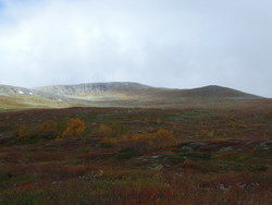 Korpfjellet, Gaarenestjahke