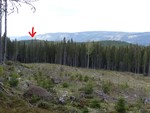 Kolbuåsen Vesttoppen