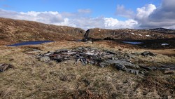 Fjeldborg (ruin), Langelien