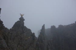 Renne opptil østtoppplatået