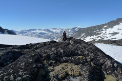 Vest for Tjønnholsoksle