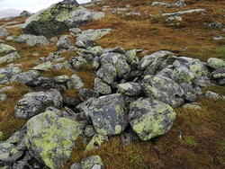 Skreddalsfjellet dyregrav