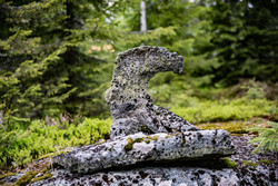 Nordre Otertjernåsen