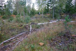 Seteråsen i Øvre Eiker