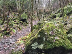 Hagahogget blåmerket sti fra sør