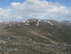 Austre Hartevassnuten