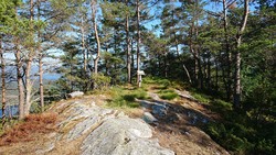 Jerfjellet turbok-kasse